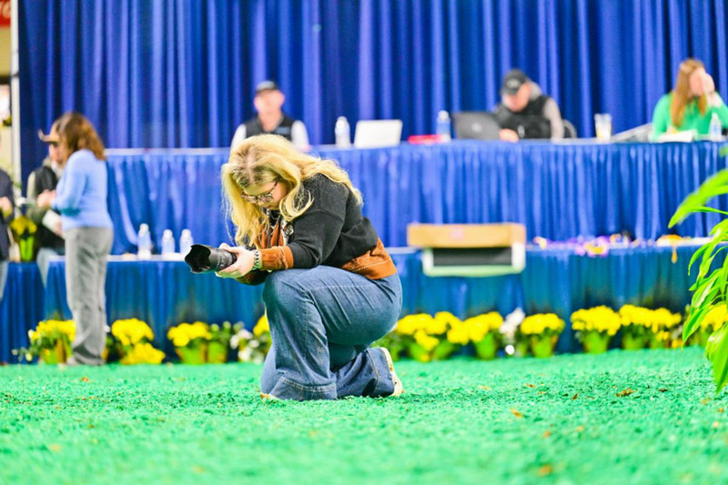 Livestock Expo 2025